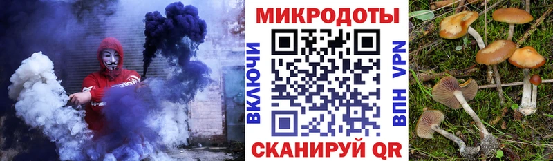 Купить где  Спасск-Дальний  Галлюциногенные грибы мицелий 